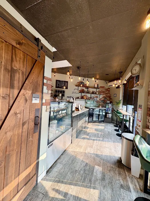 LITTLE SHARK Picture 9