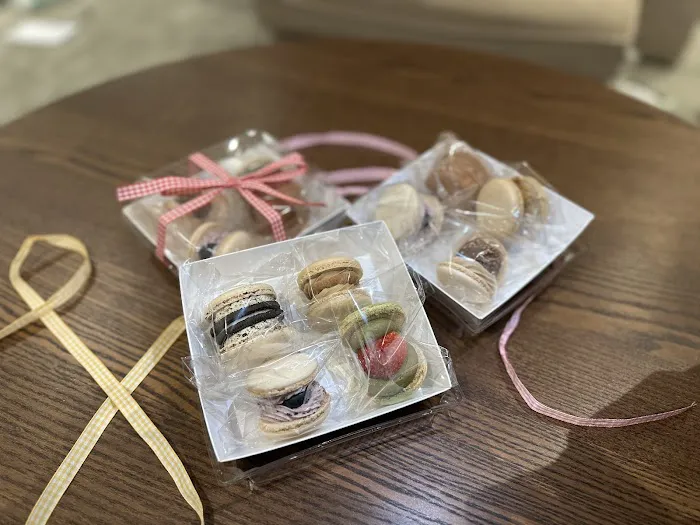 LITTLE SHARK Picture 5