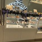 Magnolia Bakery – LaGuardia Airport: LGA