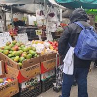 MS Bakery & Catering ico