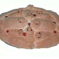 Champion Bakery Inc ico