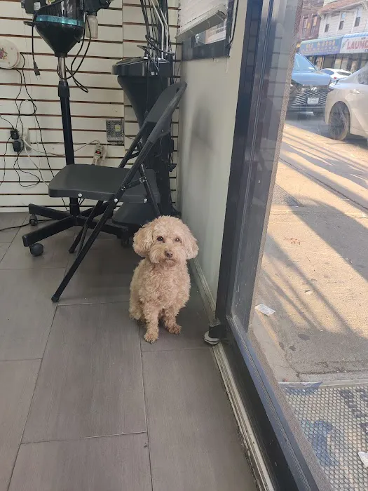 Marilu Y Hijos Corporation Picture 1