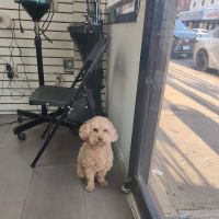 Marilu Y Hijos Corporation ico