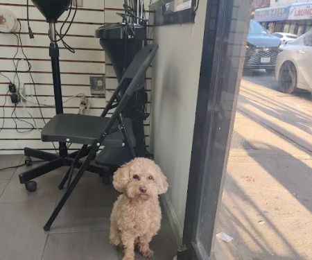 Marilu Y Hijos Corporation