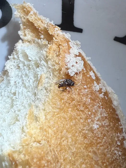 Orza Bakery Inc Picture 8