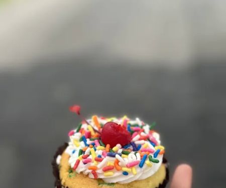 AshleysSweetTreatsInc.