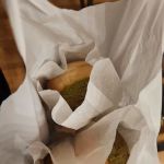 GRANDPA CHEN CHAR SIU BAO OAKLAND GARDENS