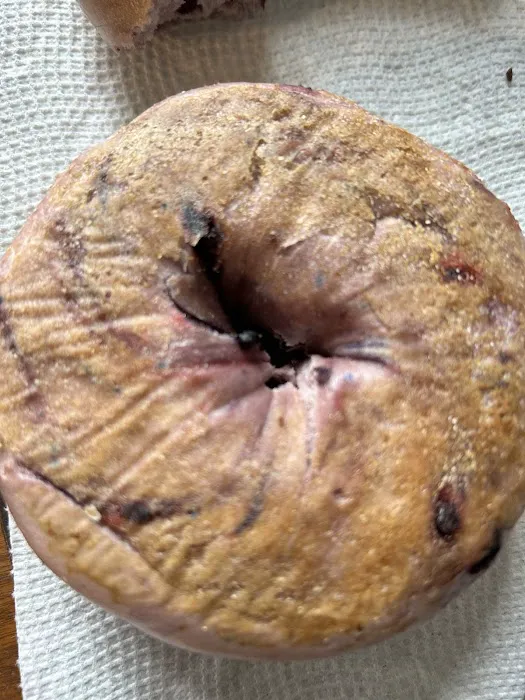 Bagelmania Picture 10