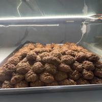 Serano Bakery Astoria ico