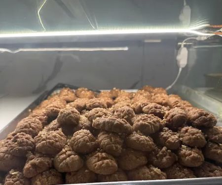 Serano Bakery Astoria