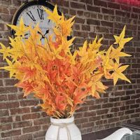 Mi Dulce Victoria ico