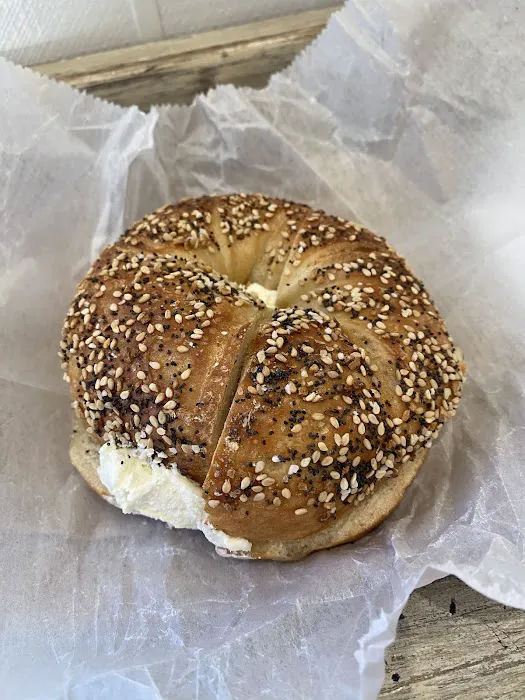 Lots O Bagels Picture 5