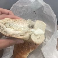 Scarsdale Bagels ico