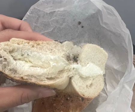 Scarsdale Bagels
