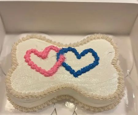 Curly Tail Cakes | Dog Bakery