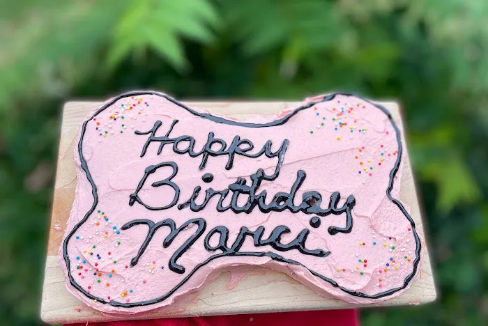 Curly Tail Cakes | Dog Bakery Picture 9