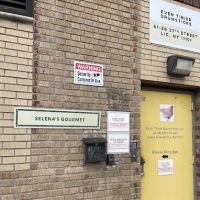 Selena's Gourmet ico