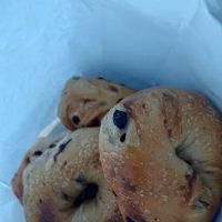 Wally's Bagel Nosh ico