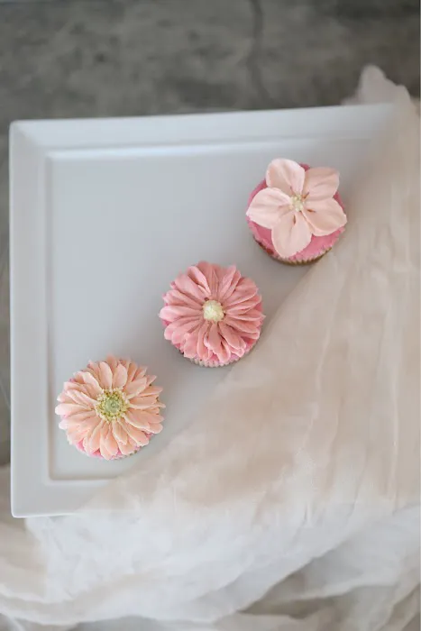 Sucre Sophie Picture 5