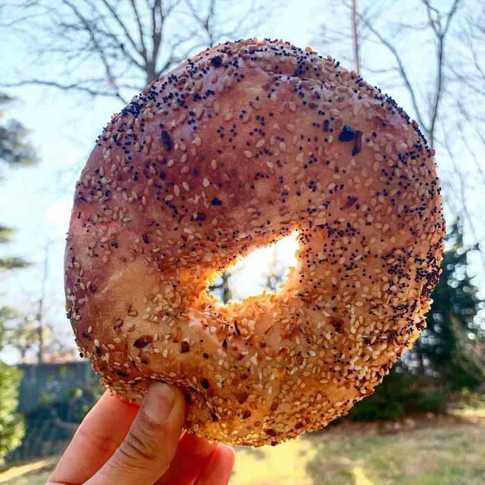 Bagels by Sofia Picture 6