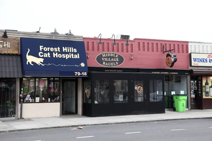 Middle Village Bagels Picture 4