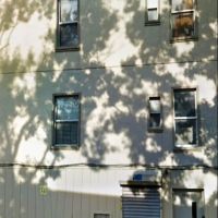 Danish Bake NYC, LLC ico