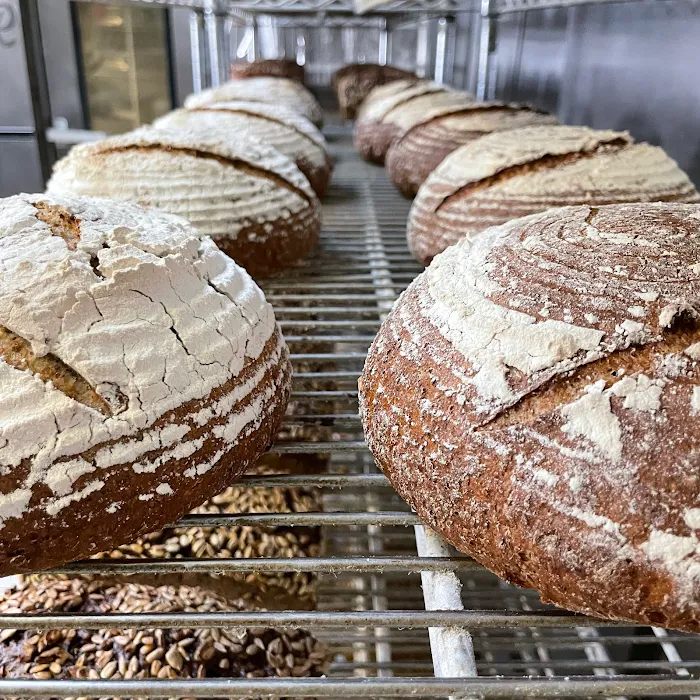 Babka Bakers Inc Picture 9