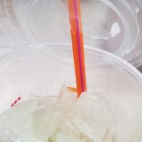 Gino's Bagel Inc ico