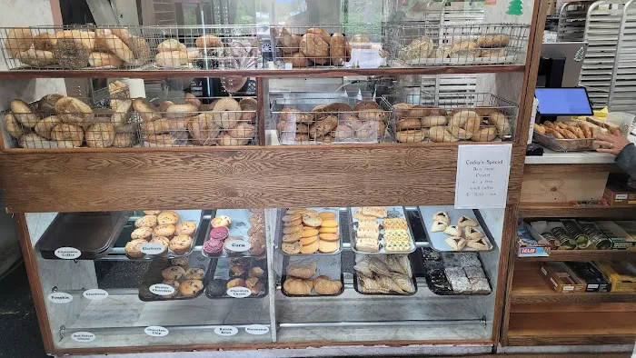 SpringTree Bagel Picture 2