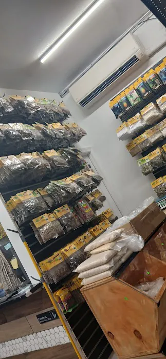 Las Wanllas Picture 3