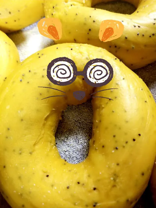 Magic Bagels Inc Picture 1