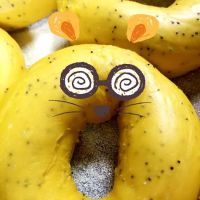 Magic Bagels Inc ico