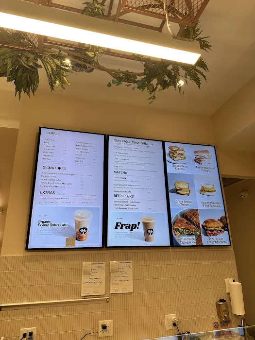 The Oasis Cafe LIC Picture 10