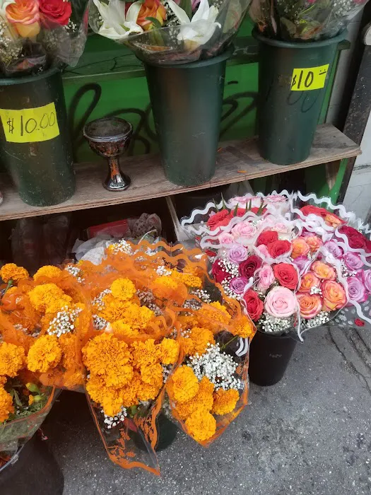 Los Florencio Inc Picture 3