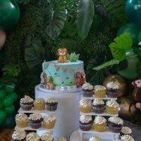 The Official Cake Lady ico