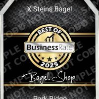X Steins Bagel ico